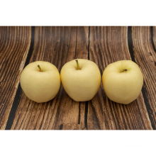 Direct Supplier for Fresh Golden Sweet Apple From Garden